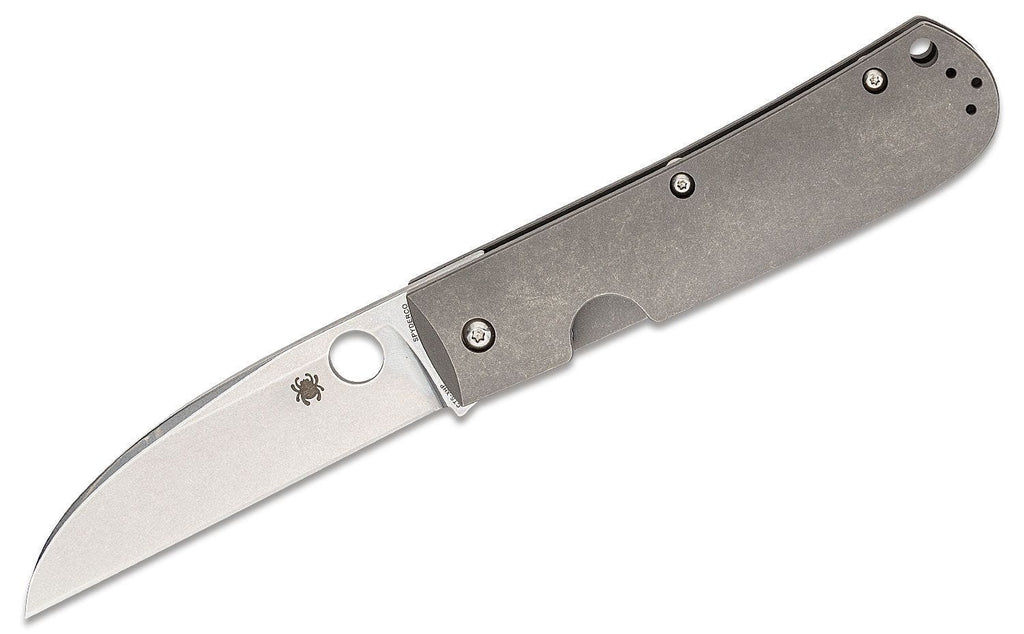 Spyderco SwayBack Folding Knife CTS XHP Titanium Handle