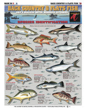 Tightlines Fish Identification Charts
