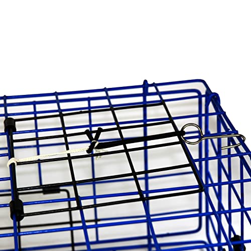 Promar Collapsible Blue Crab Trap - 21in X 17in X9in, TR-555BC