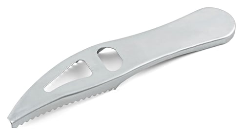 Fast'N Easy Fish Scaler