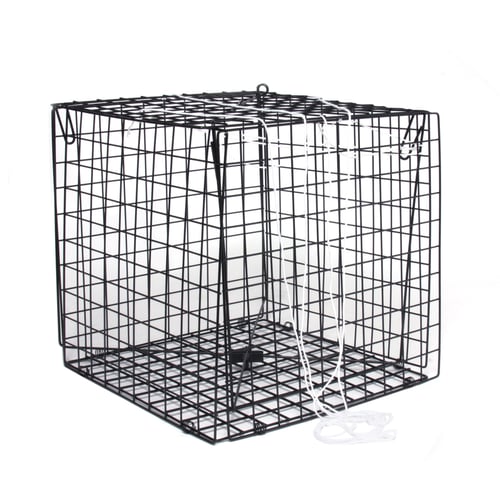 Sea Striker Crab Trap Sq 10.5 X 10.5 X 10.5, SSCT10.5