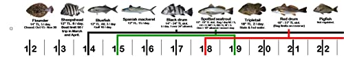 Two (2) Florida Super-Flex Folding Fishing Rulers with Color Photos of 54 FL Saltwater Fish and Their Rules Plus Lots of FL Angler Information