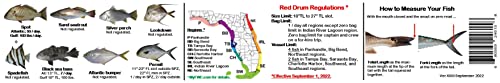 Two (2) Florida Super-Flex Folding Fishing Rulers with Color Photos of 54 FL Saltwater Fish and Their Rules Plus Lots of FL Angler Information